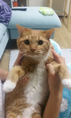 노랠 추모 이미지