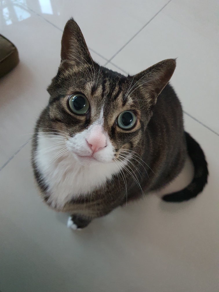 옹 추모 이미지