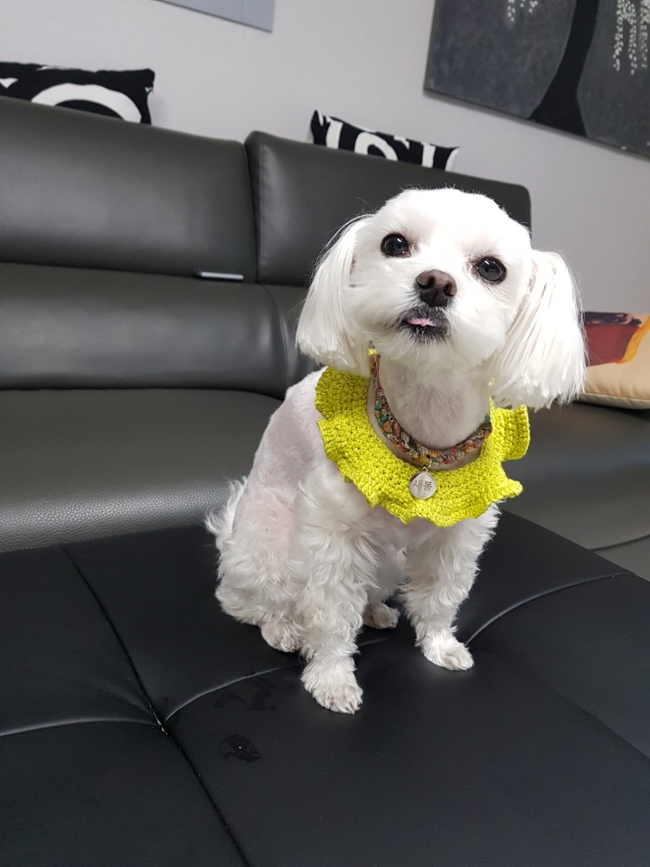 세봄 추모 이미지
