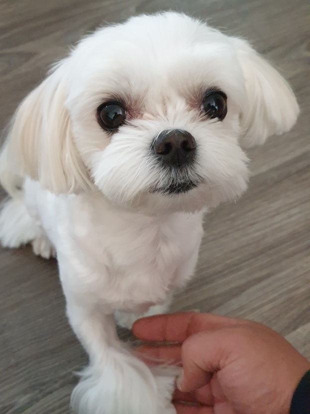 쭌 추모 이미지