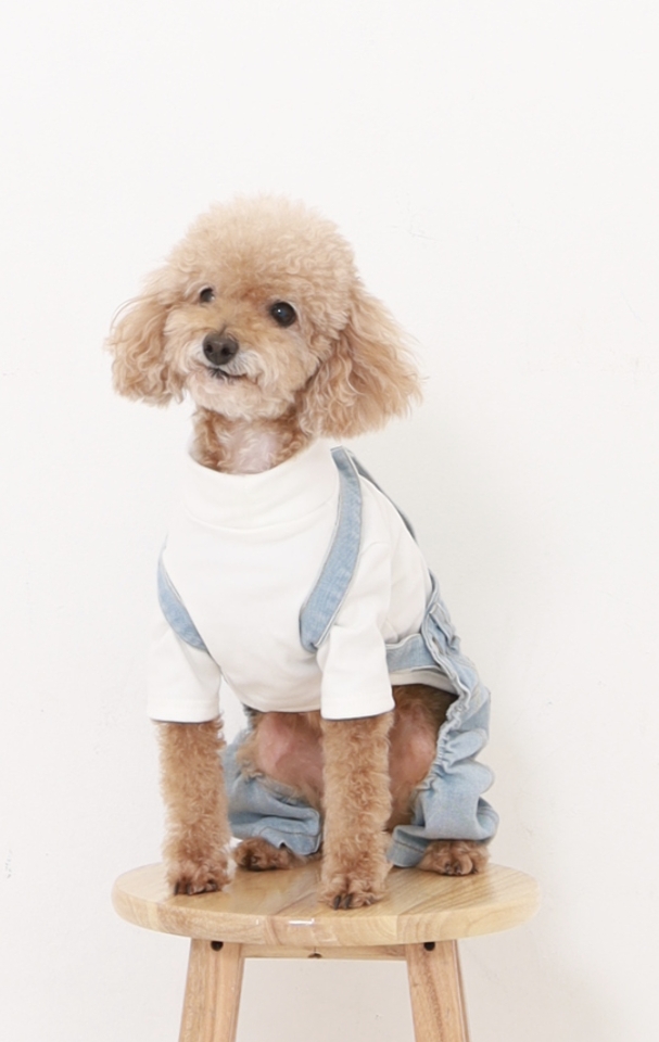 나나 추모 이미지