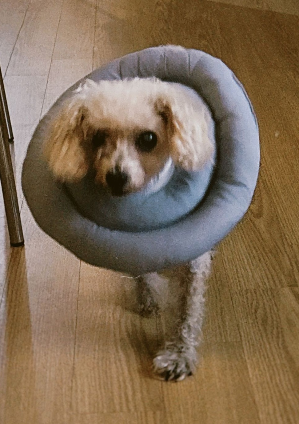 커피 추모 이미지