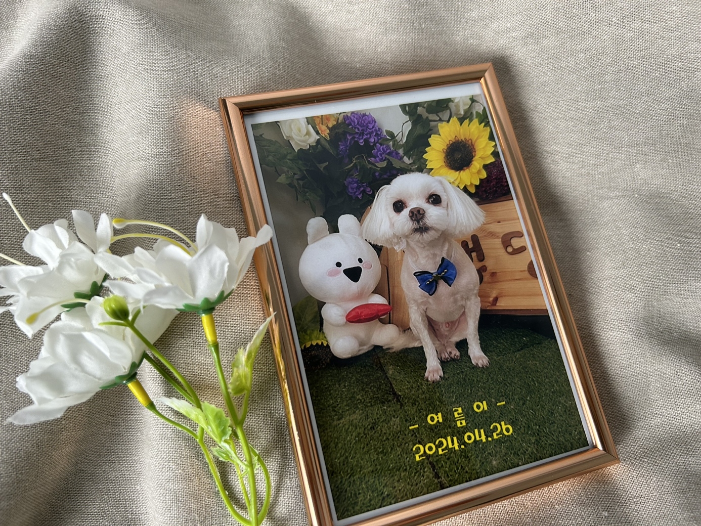 KakaoTalk_20240911_162442078_03.jpg KakaoTalk_20240911_162442078_03.jpg