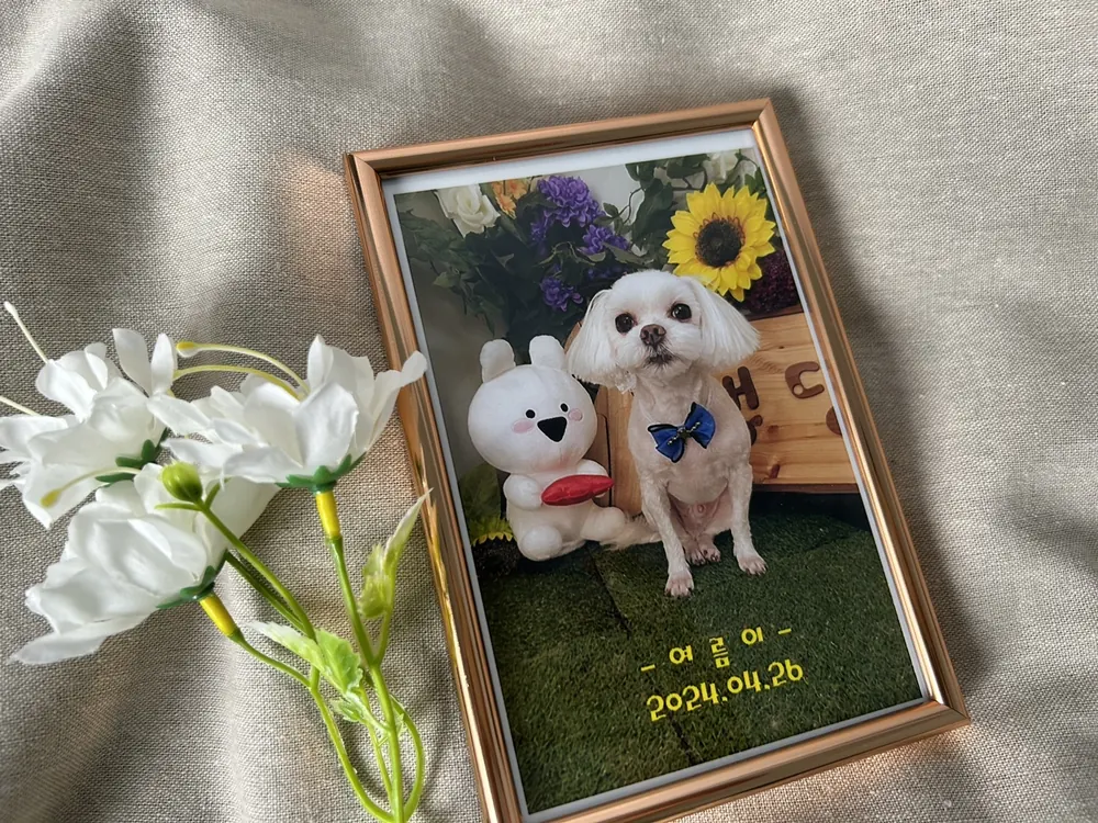 왜 유골을 '스톤'으로 제작할까?