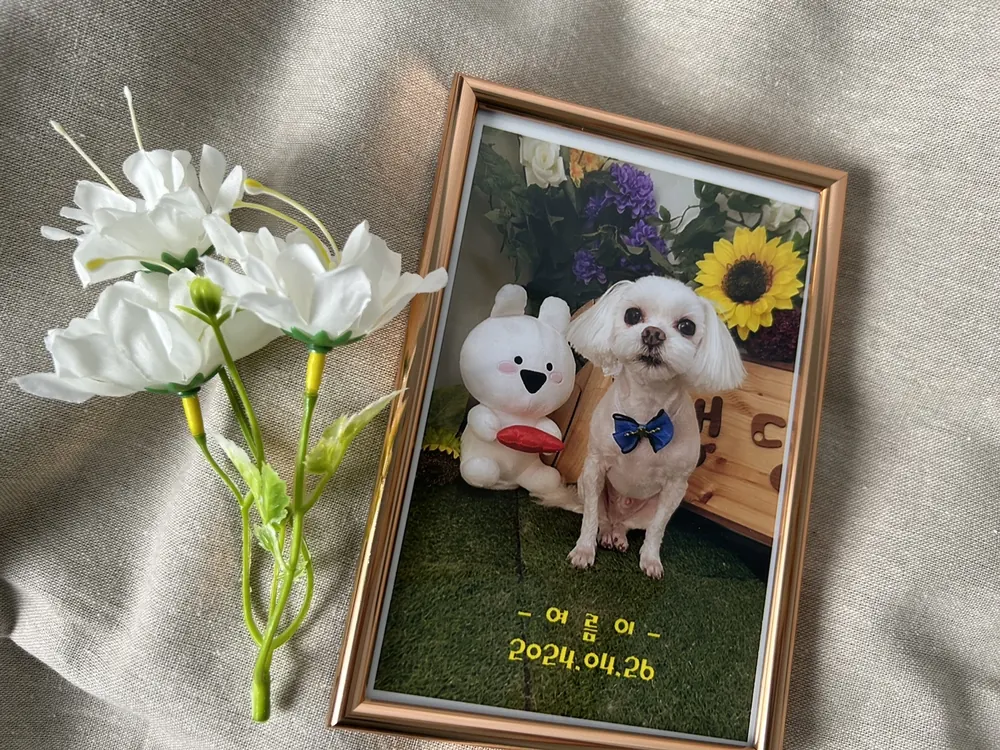 유골 집에 안치할 때 유의사항 및 노하우 정리