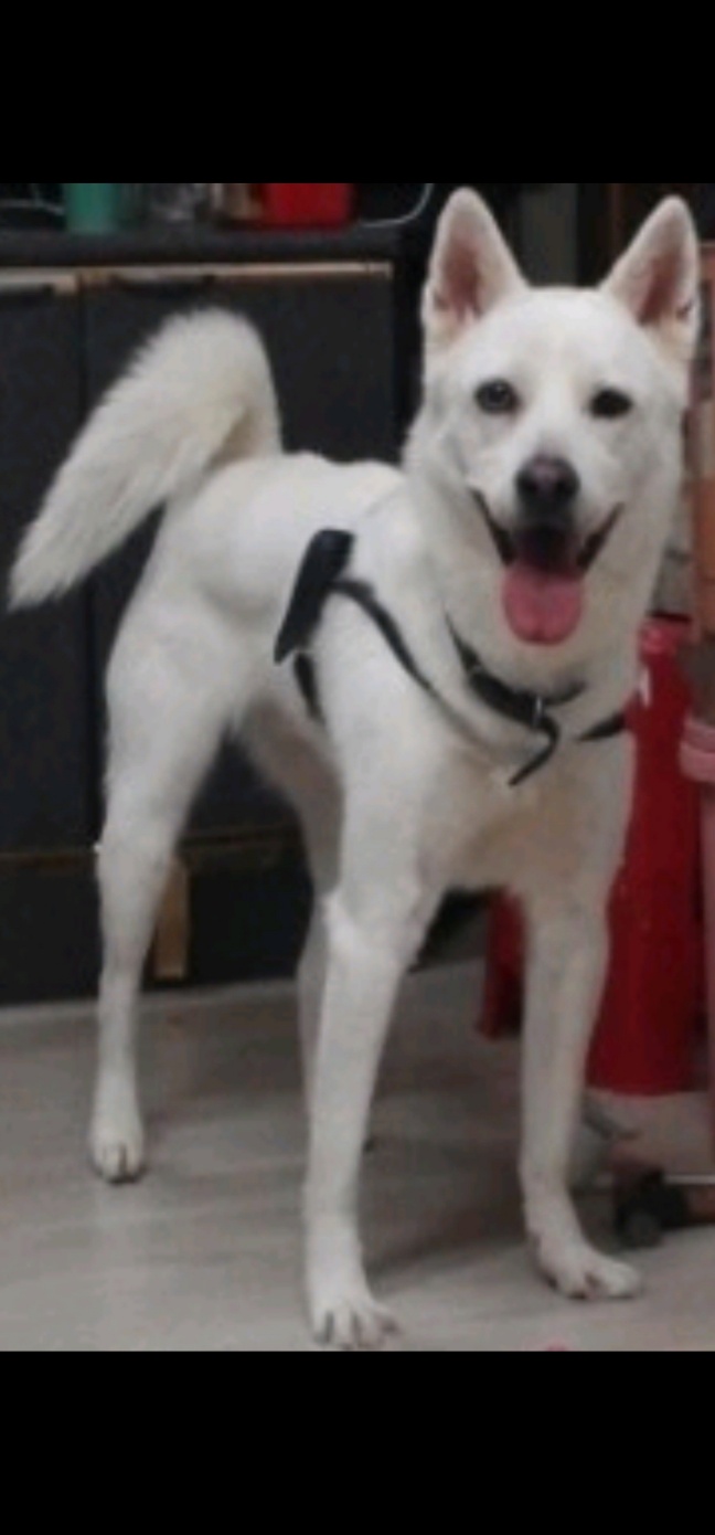 20241104_부평_루키.jpg