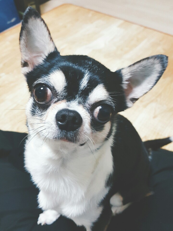 20250124_부평_동화.jpg