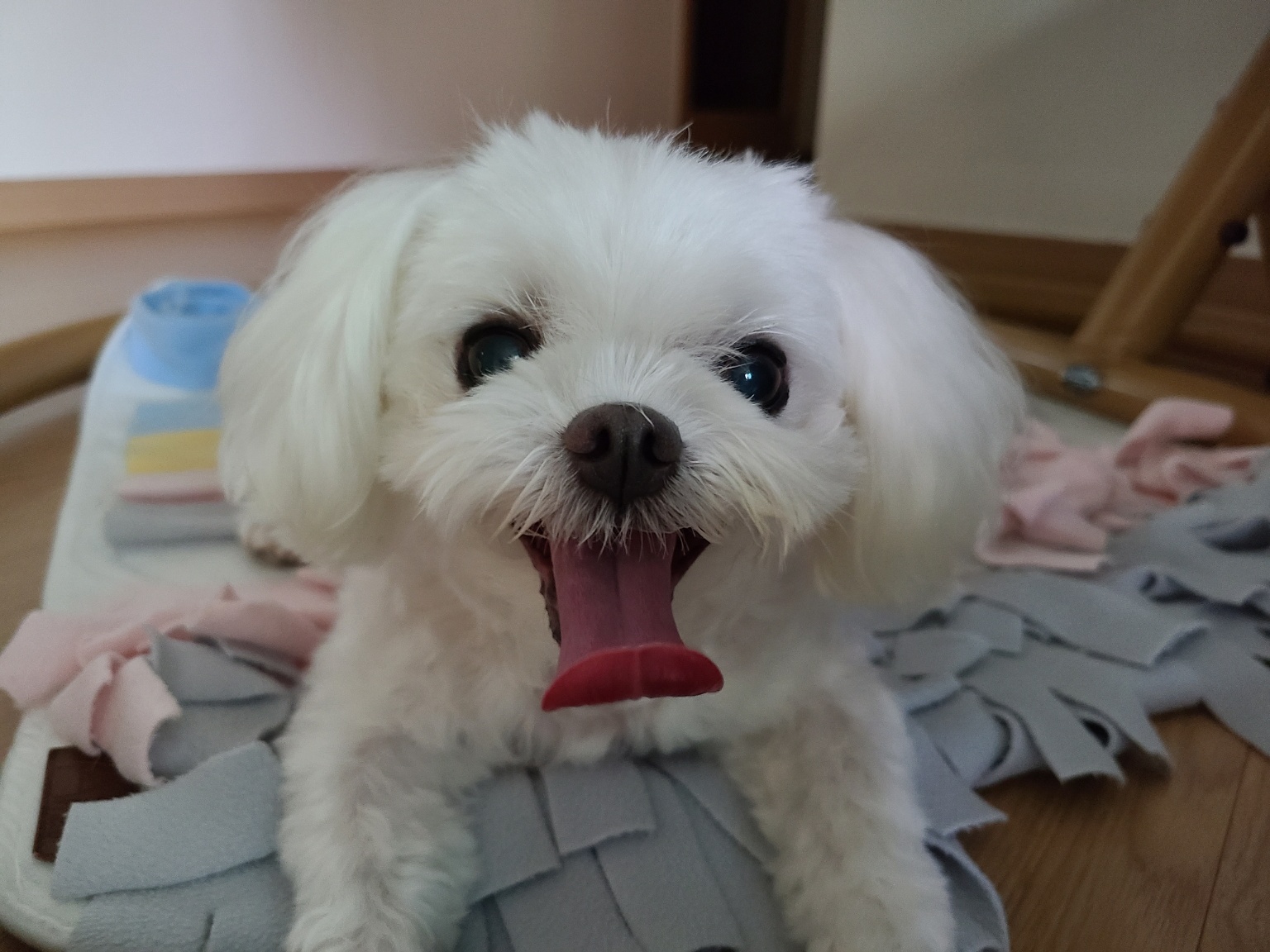 20250131_호야.jpg