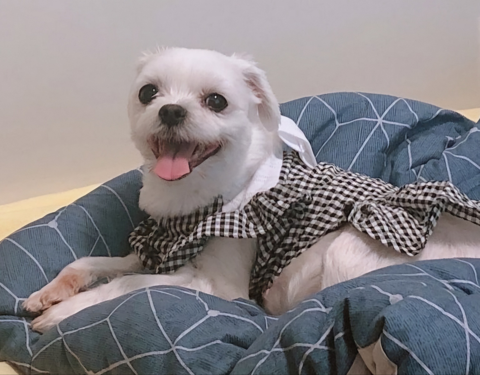 20250205_부평_땡이.jpg