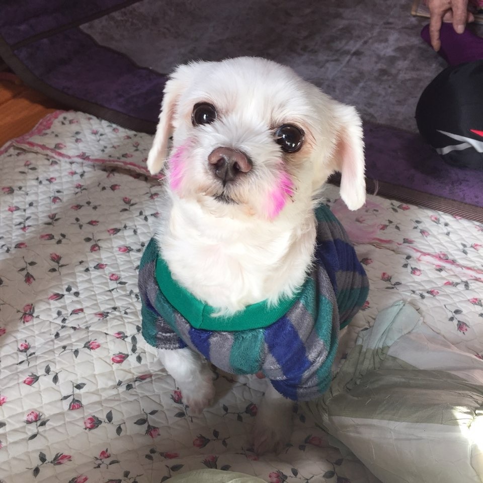 20250222_부평_똘이.jpg
