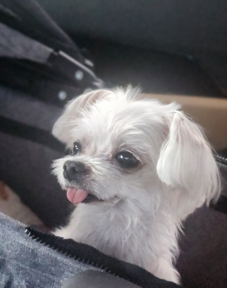 20250223_용현동_루이.jpg