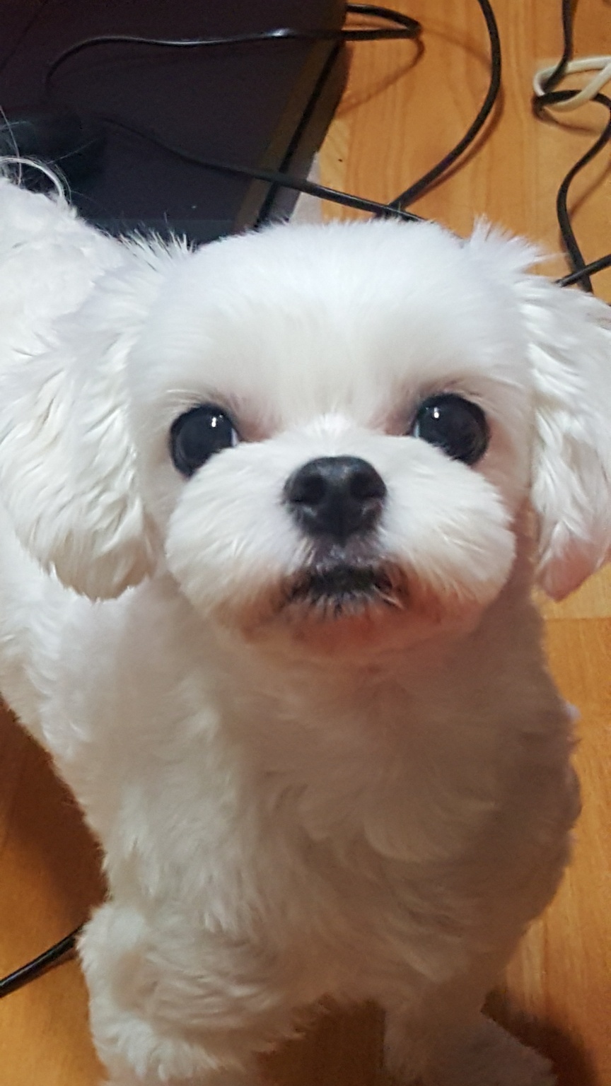 20250303_영종도_쏠.jpg