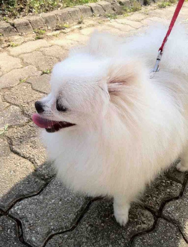 20250304_부평_루비.jpg