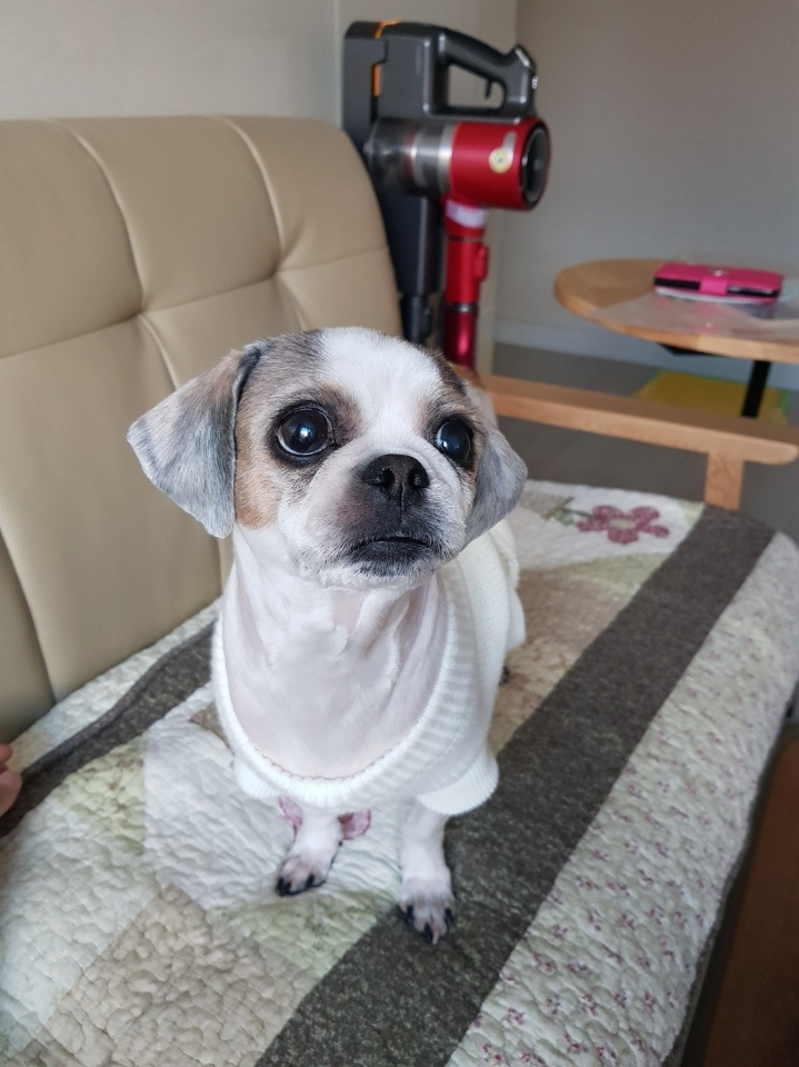 20250329_강서구_복덩.jpg