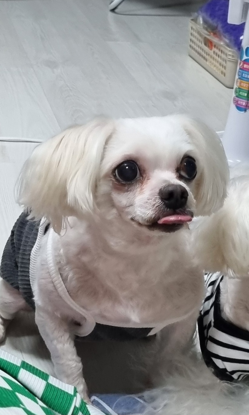 20250330_부평_달콩.jpg
