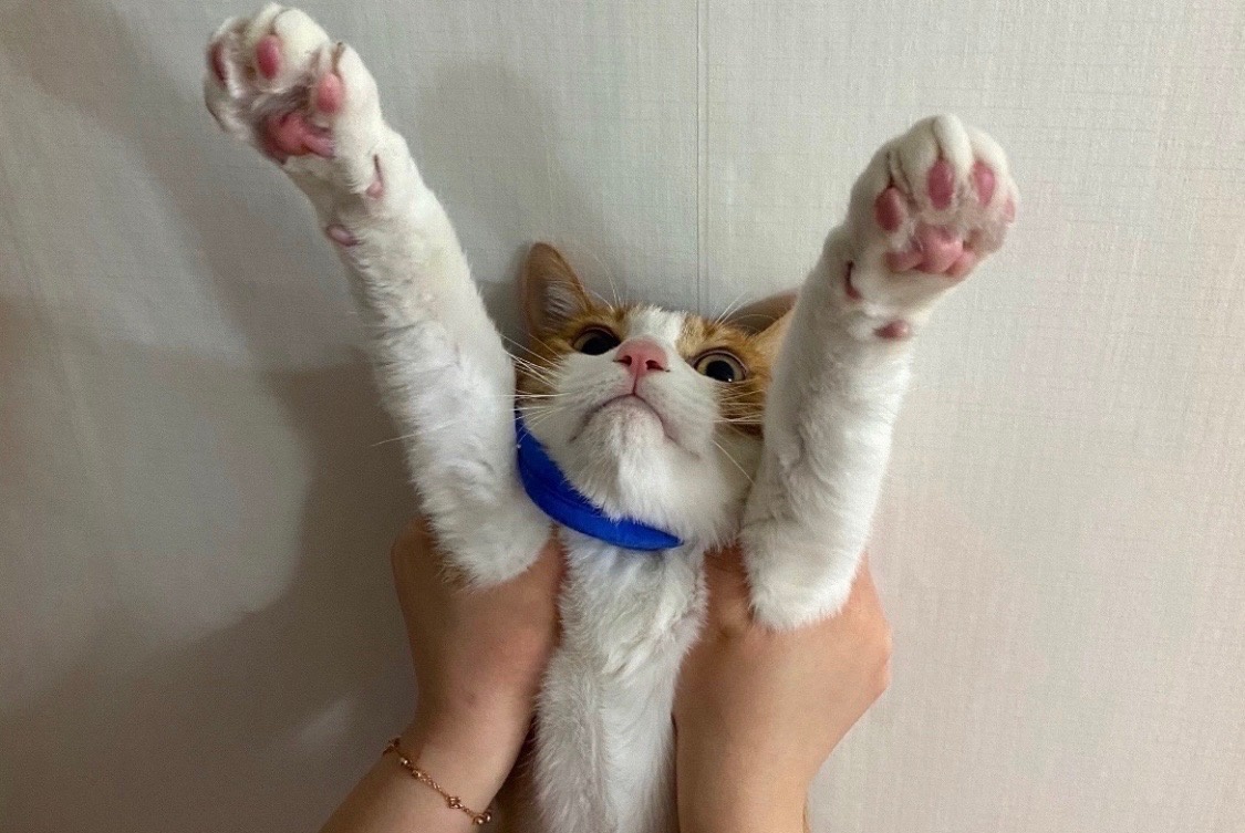 20250331_시흥_할짝이.jpg