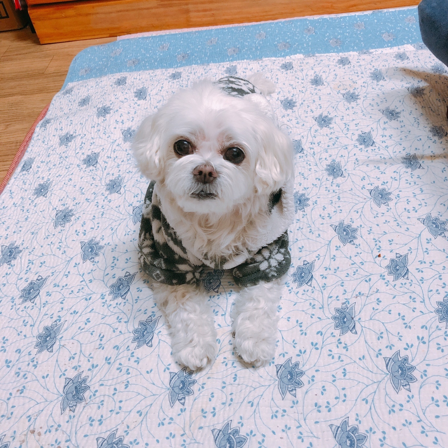 20250401_부천_아롱.jpg