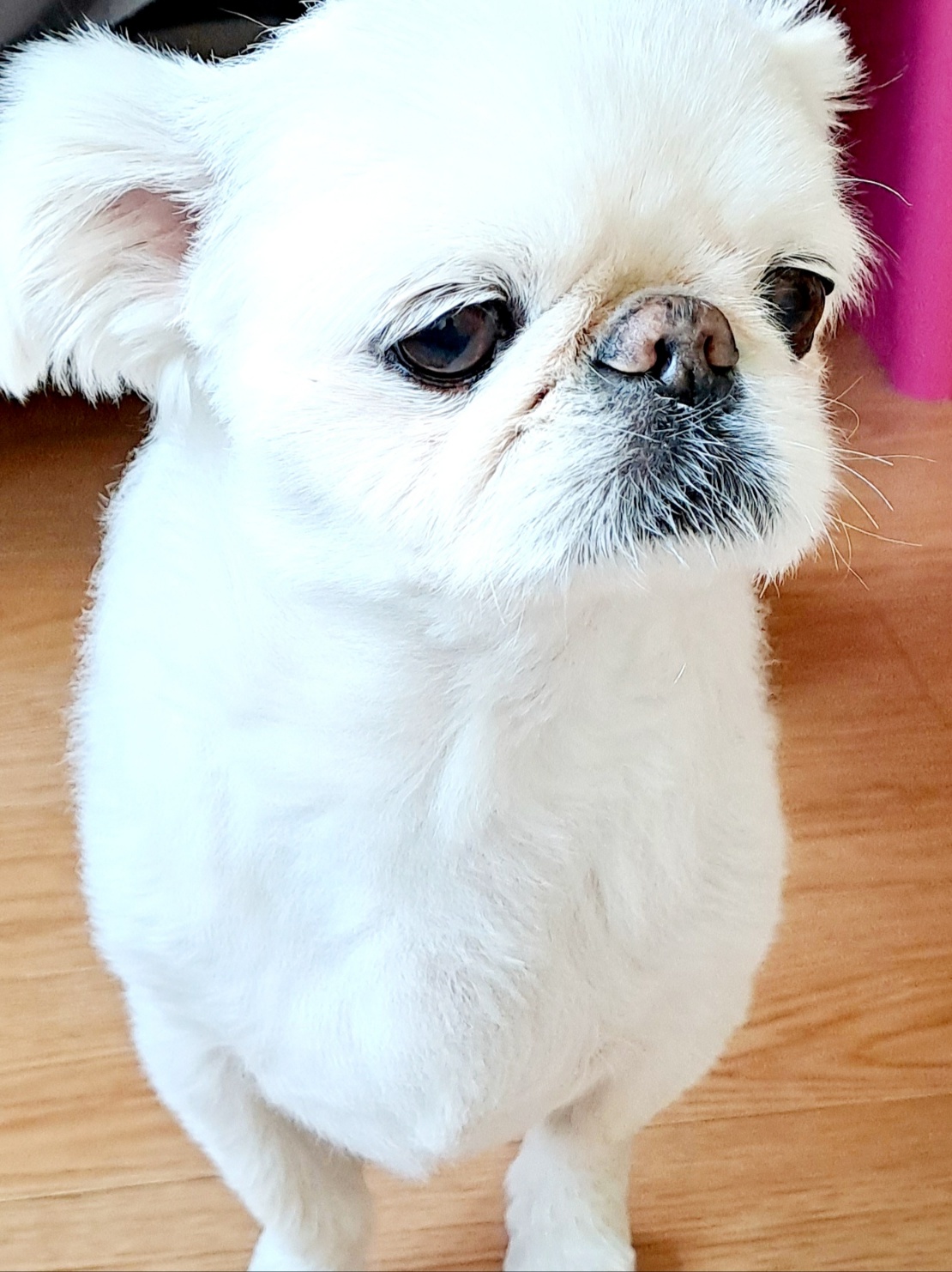 20250402_부천_간지.jpg