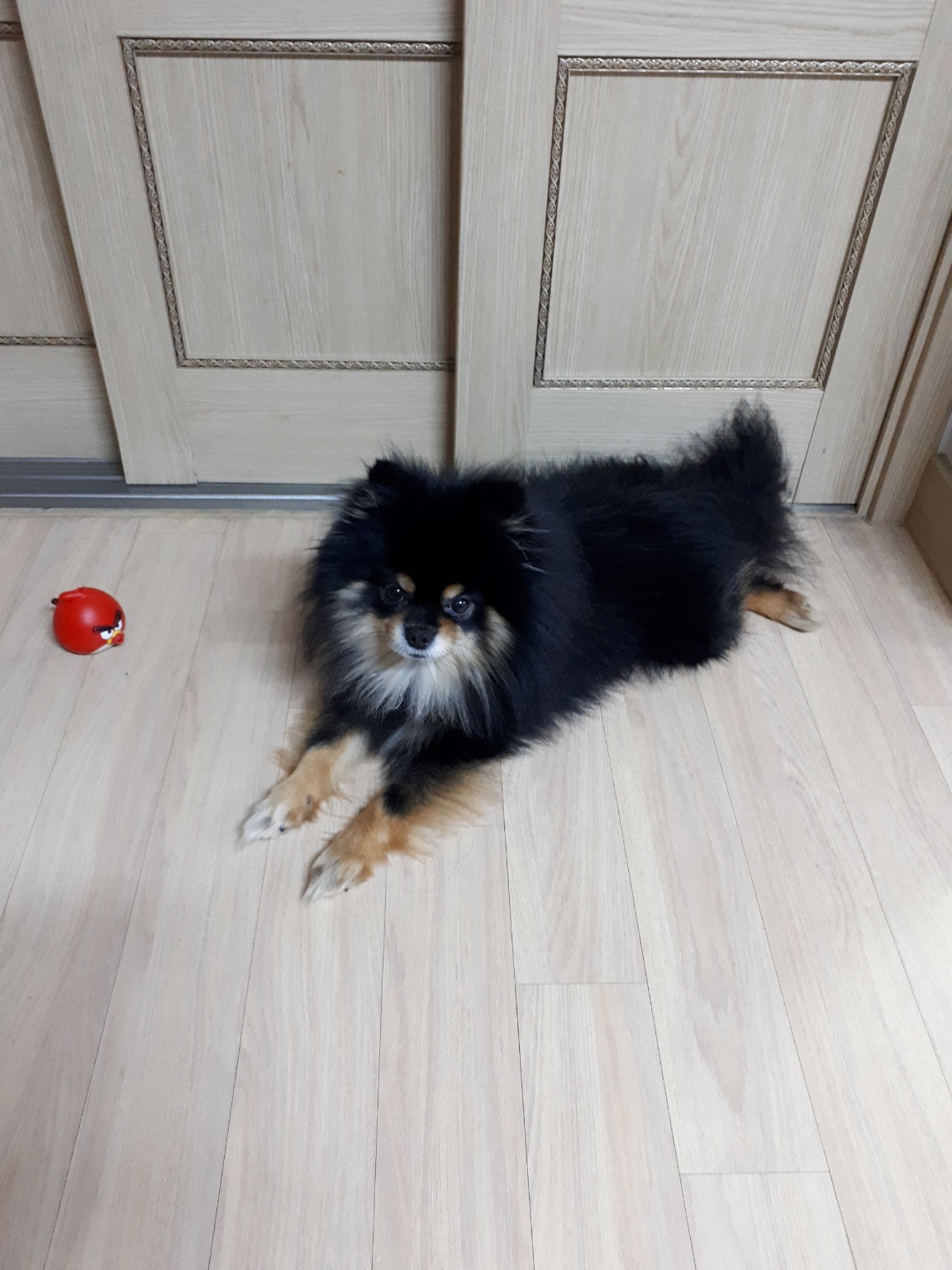 20250402_은평구_행운이.jpg
