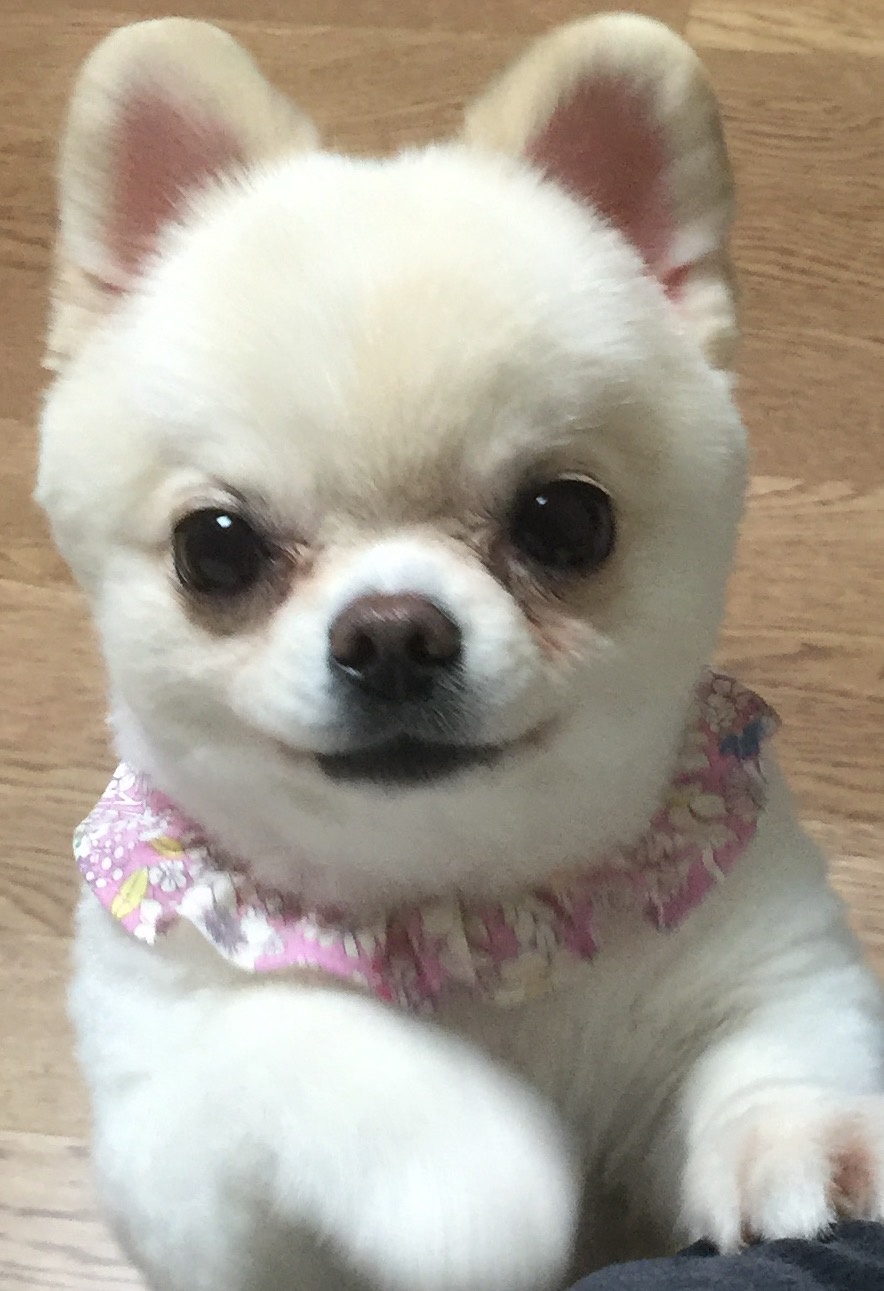 20250403_광명_은희.jpg