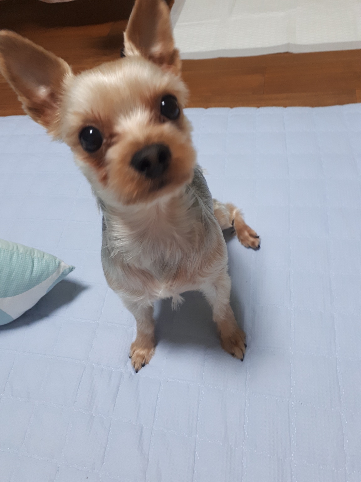 KakaoTalk_20250404_162331054.jpg
