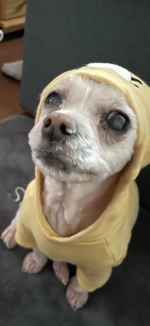 20250411_부평_행복.jpg