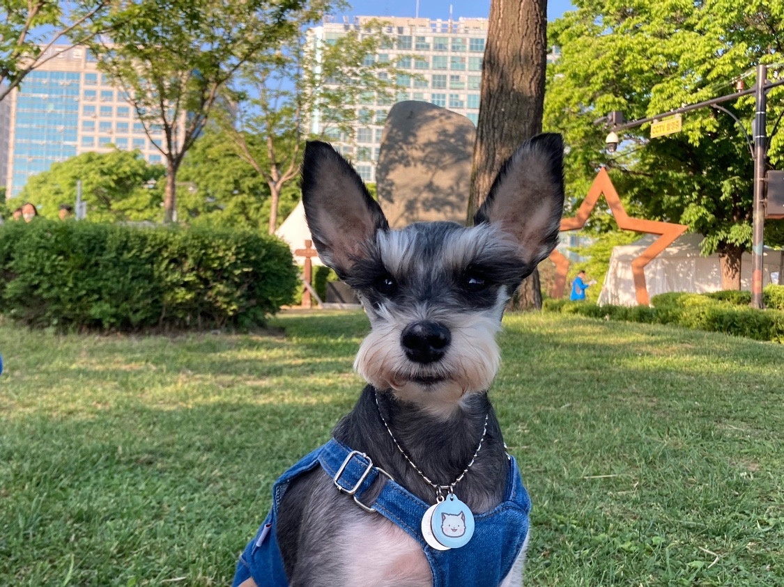 20250421_부평_효리.jpg