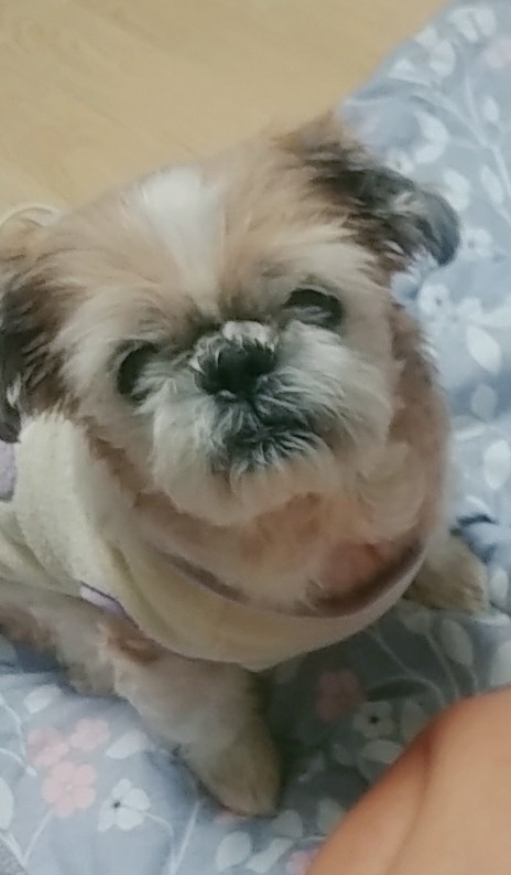 20250423_주안_콩이.jpg