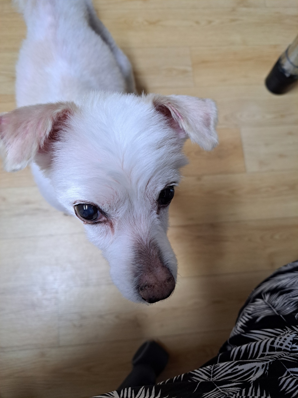 KakaoTalk_20250517_154253240.jpg