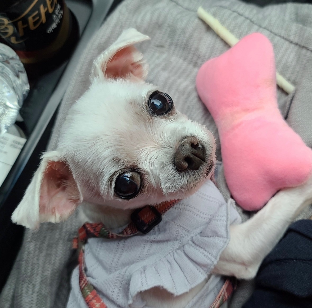 20250528_연수구_삼순.jpg