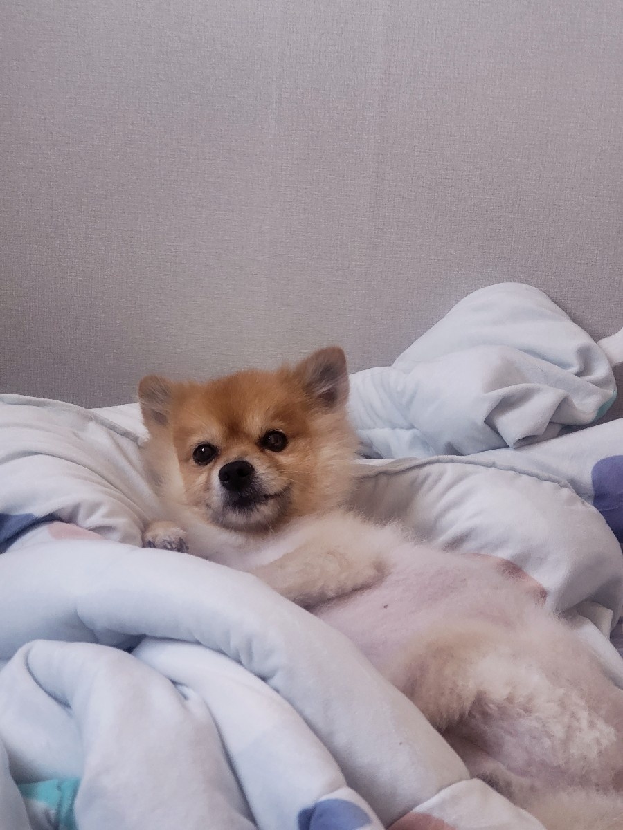 20250530_부평_망치.jpg