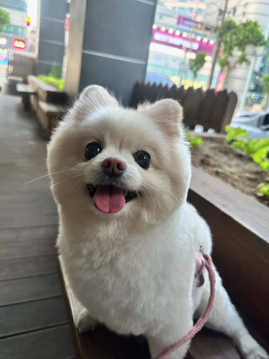 20250530_부평_사랑.jpg