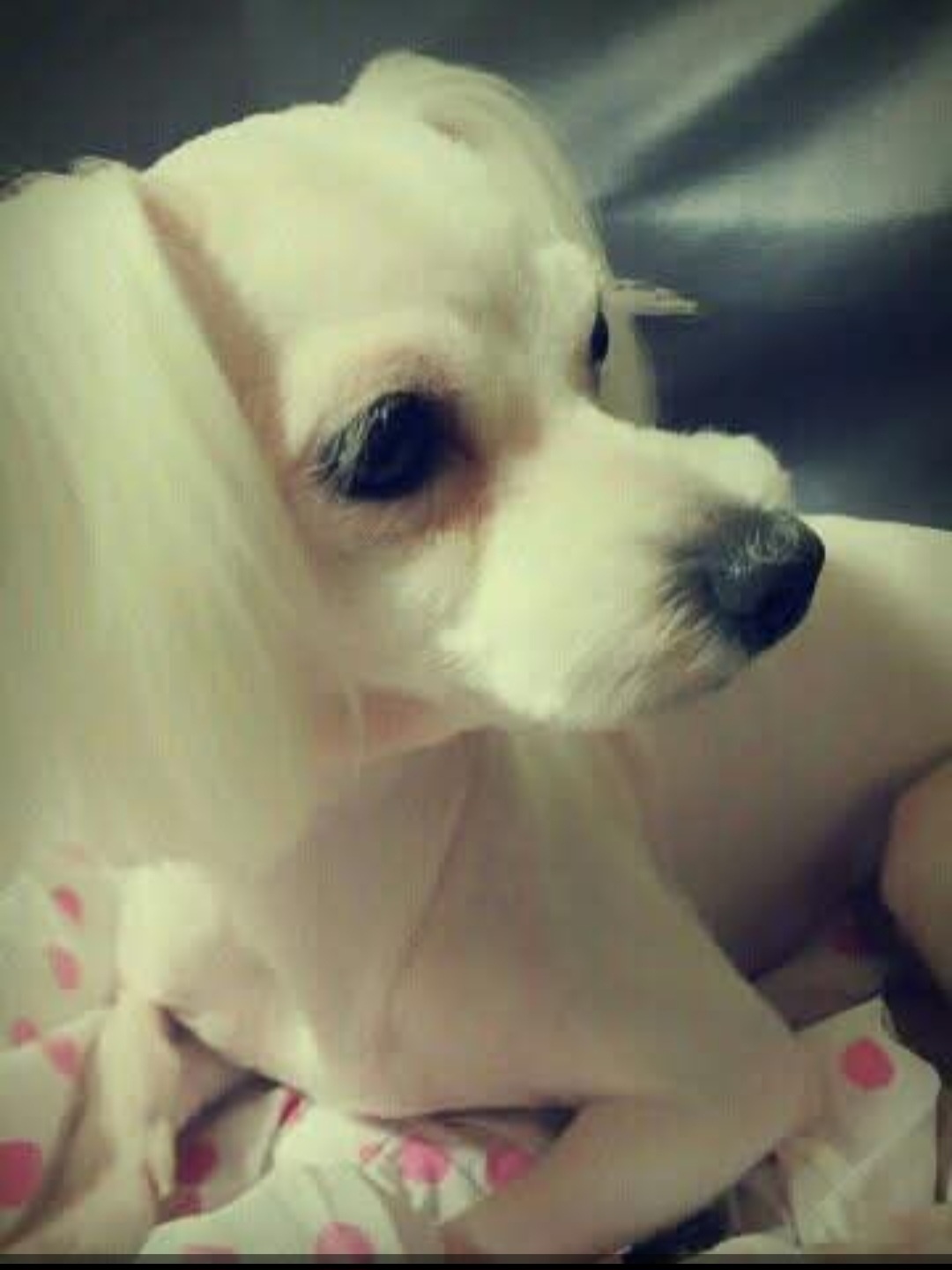 20250601_부평_예삐.jpg