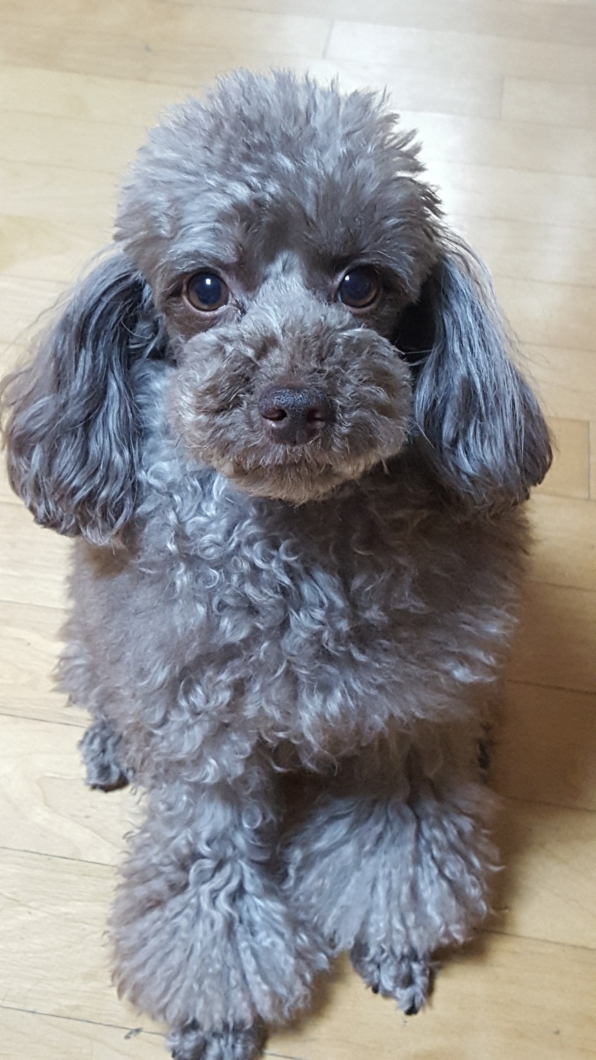 20250603_고양시_박쪼꼬.jpg