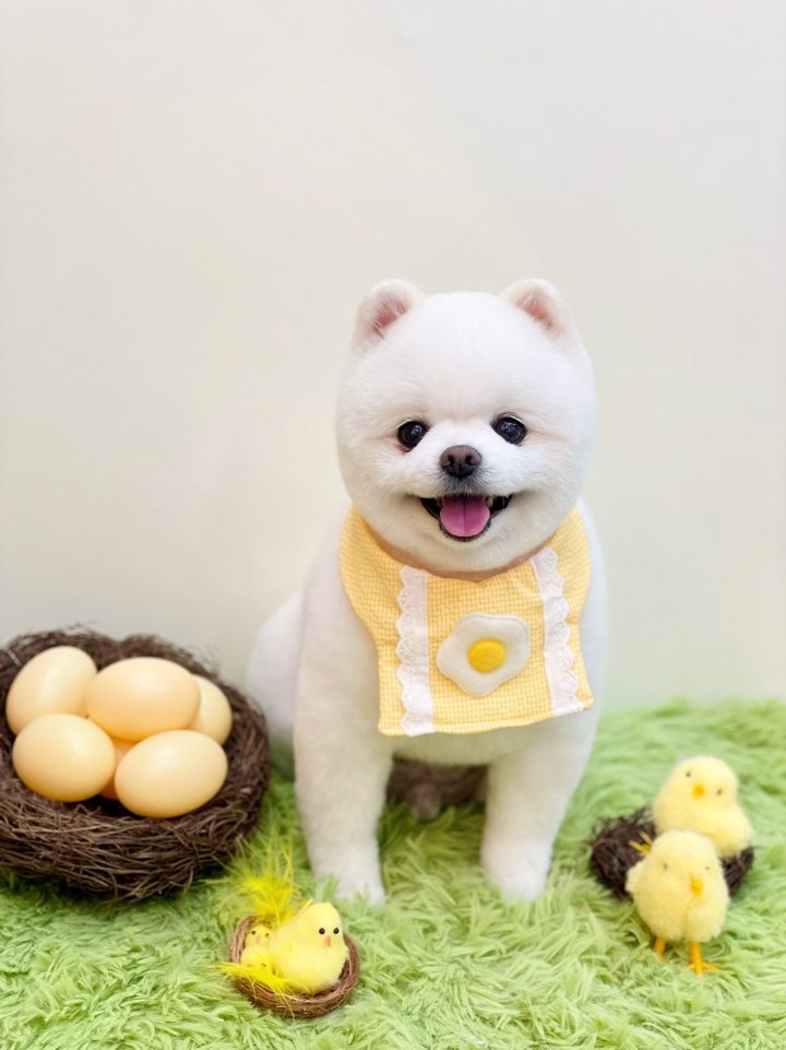 20250603_연수구_신비.jpg