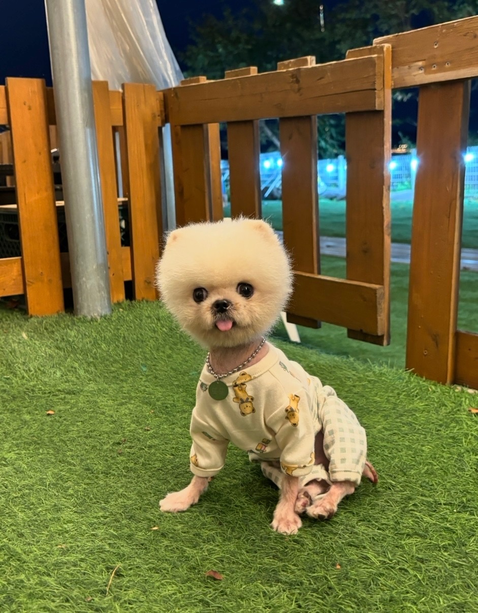 20250605_남동구 간석동_또또.jpg