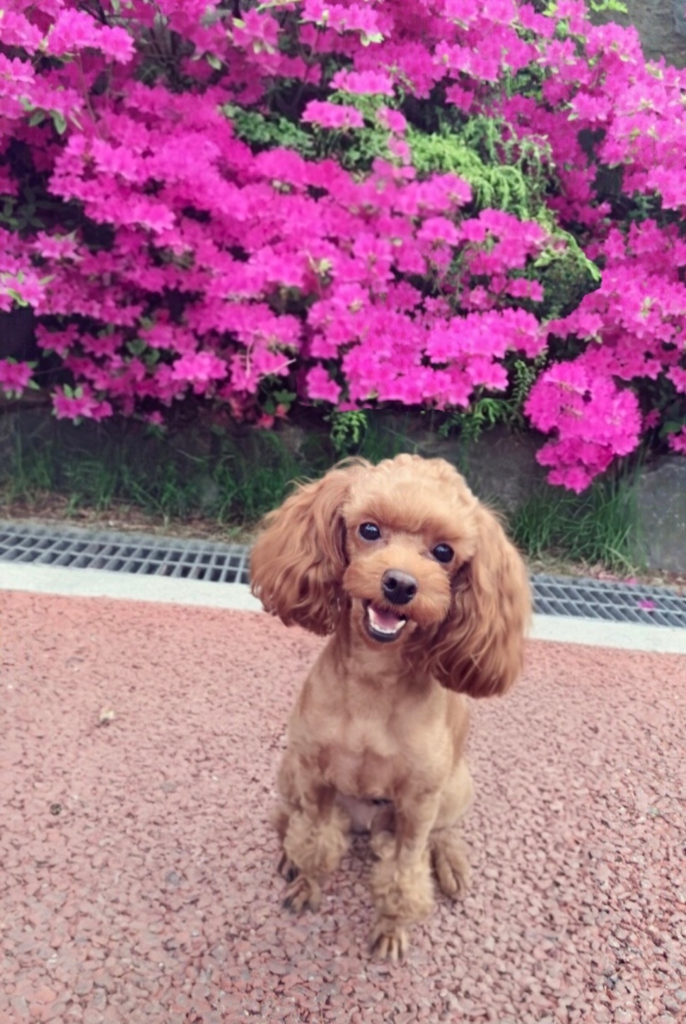 250611_광명_쿠키.jpg
