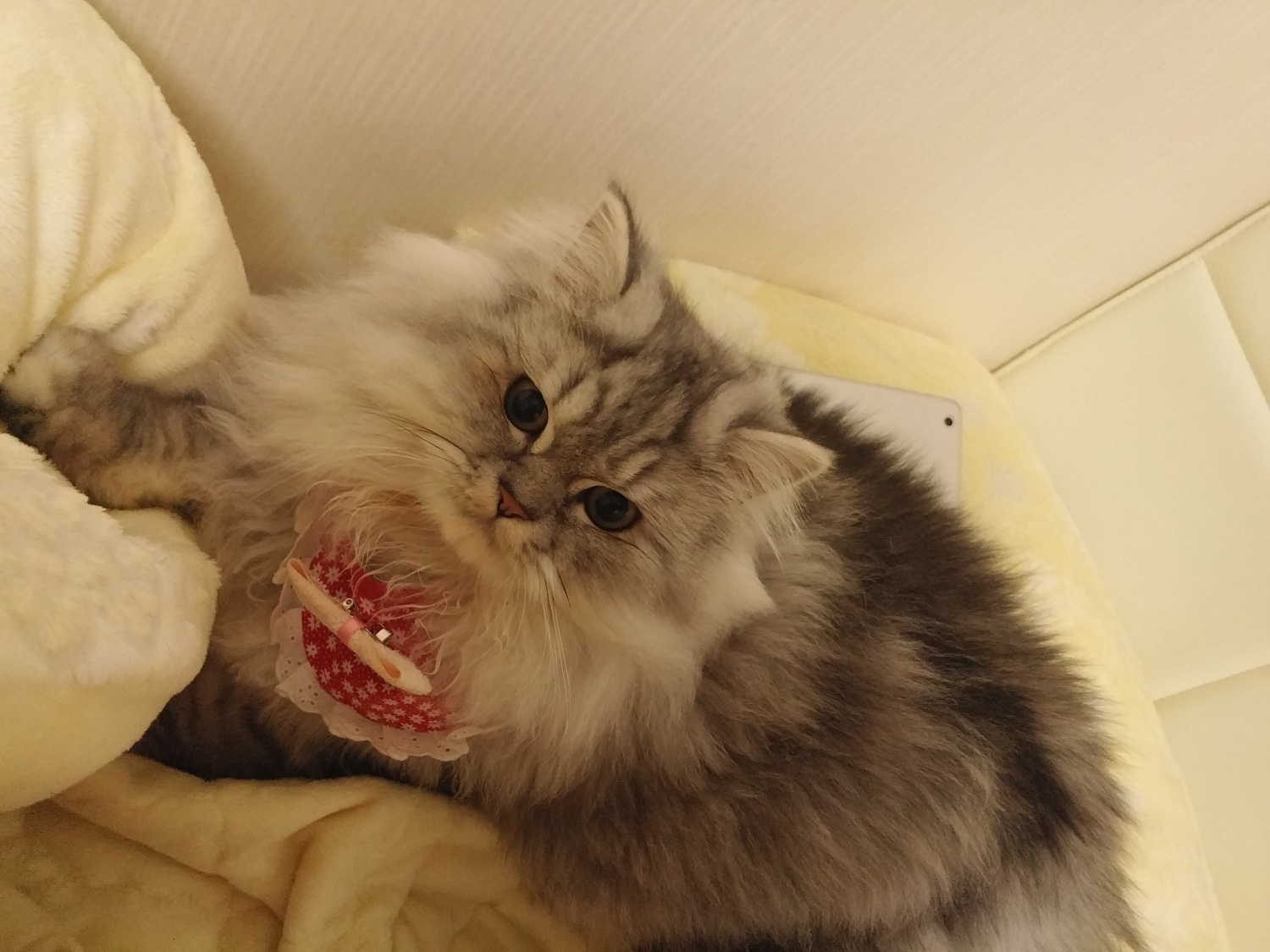 250620_노리.jpg