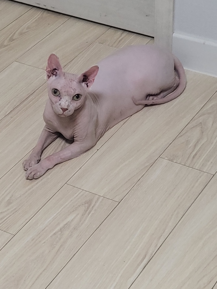 250626_역삼동_뮤.jpg