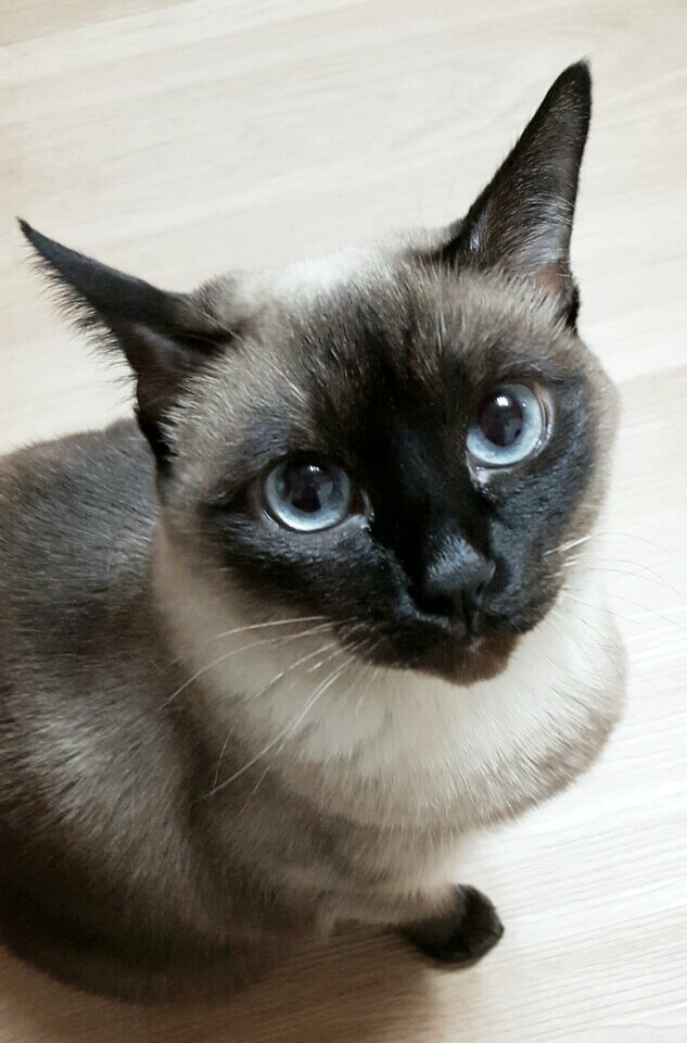 20250713_구월_꼬망.jpg