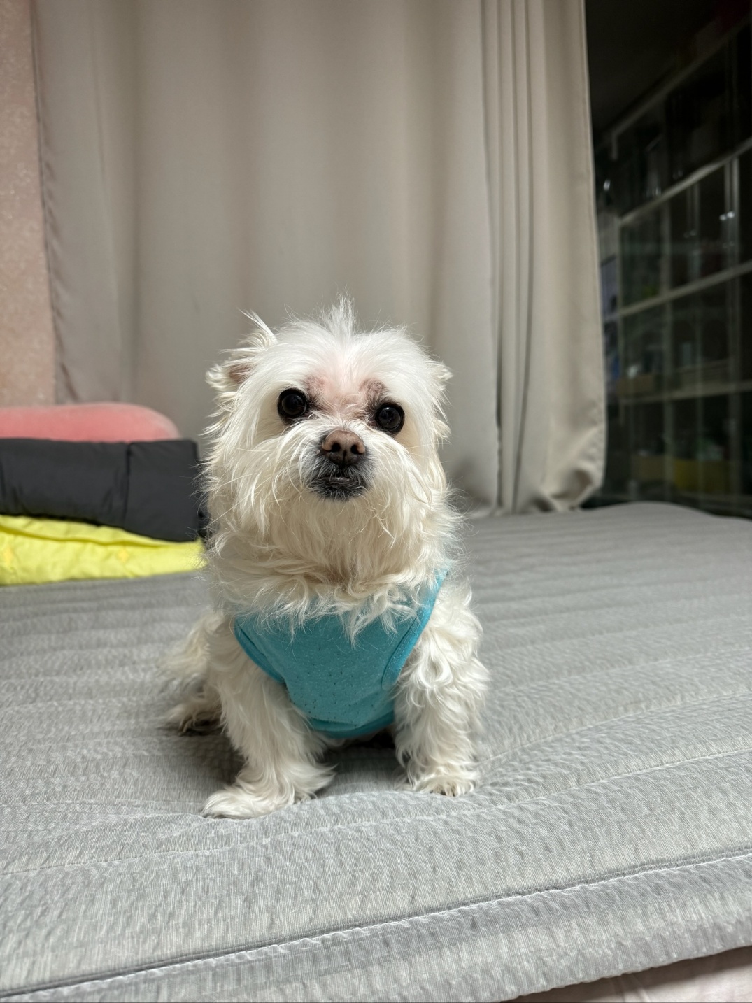 20250713_부평_순돌.jpg