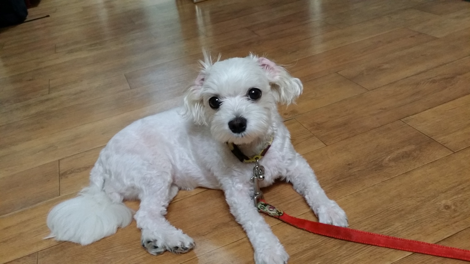 KakaoTalk_20250718_011931934.jpg