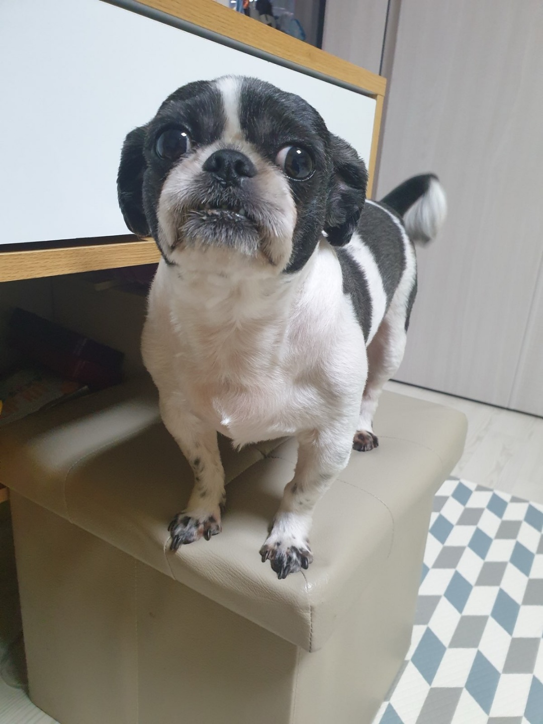 250816_계양_춘장.jpg