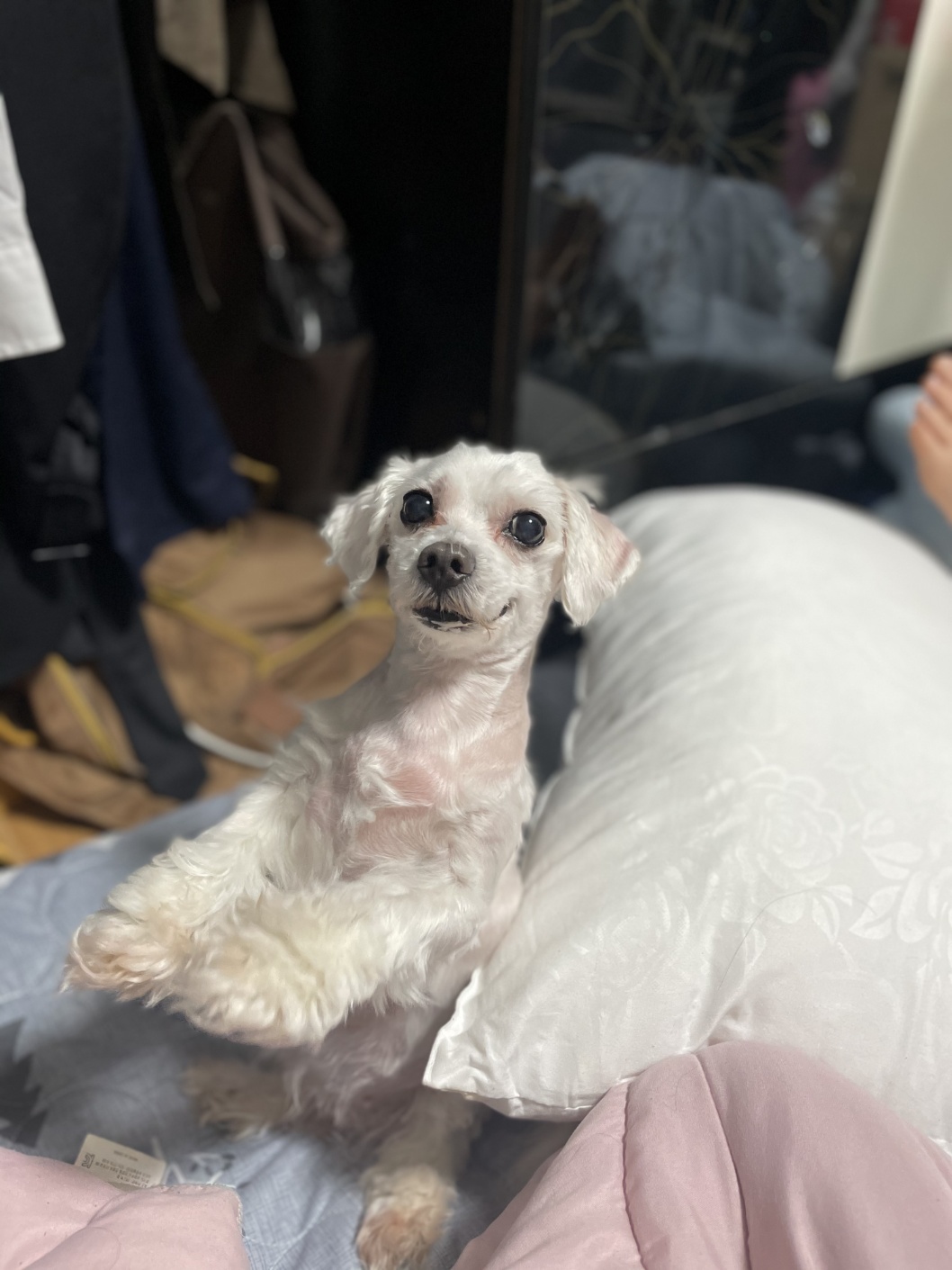 250819_남동구_순이.jpg