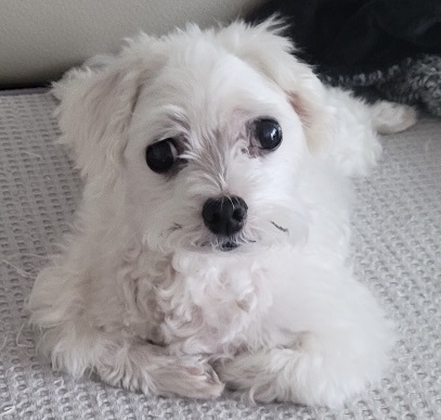 250819_부천_이태백.jpg