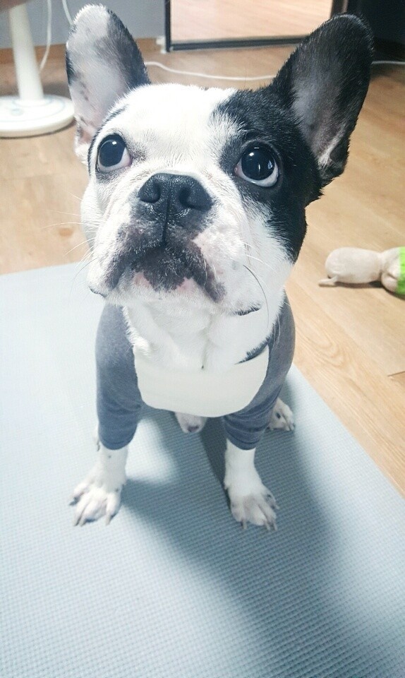 250819_부평_보스.jpg