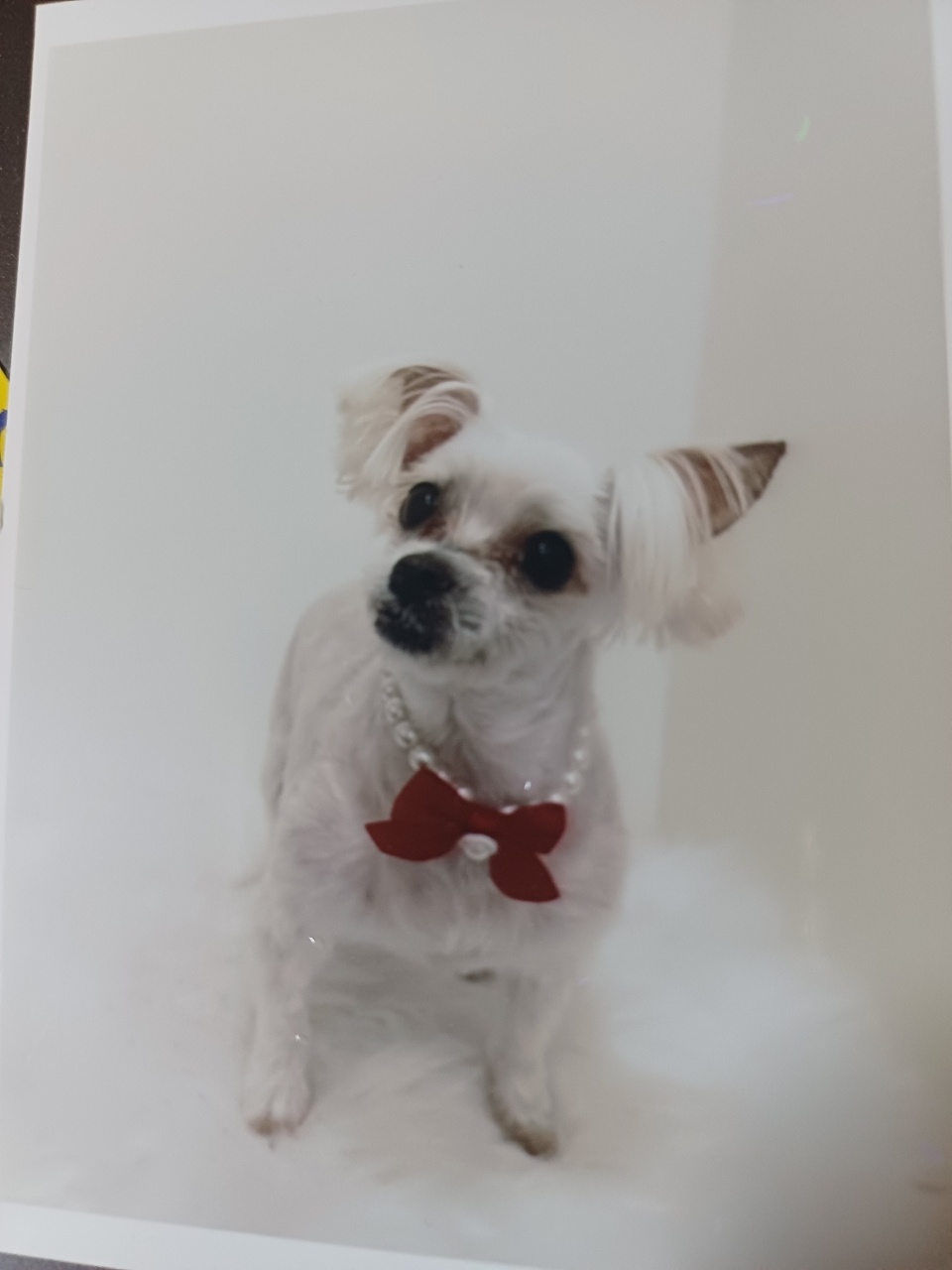250819_부평_초롱이.jpg
