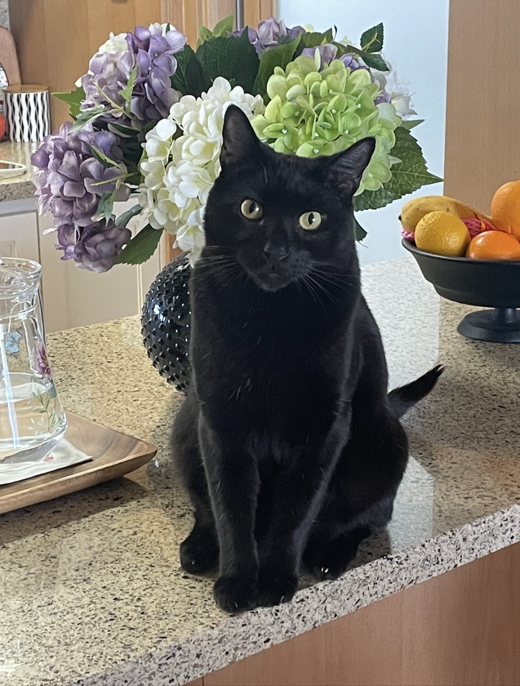 250819_송도_버니.jpg