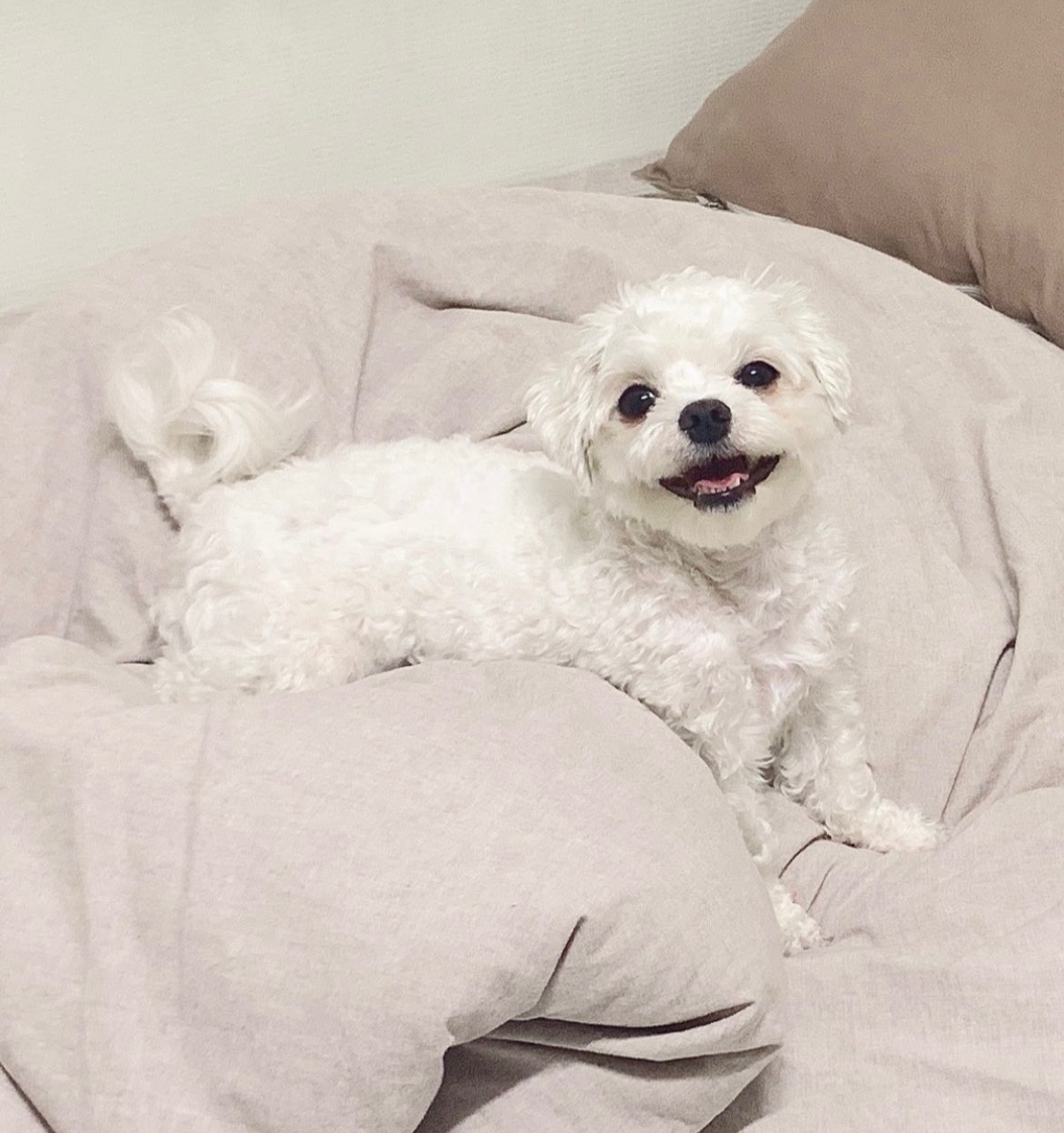 250820_광명_또또.jpg
