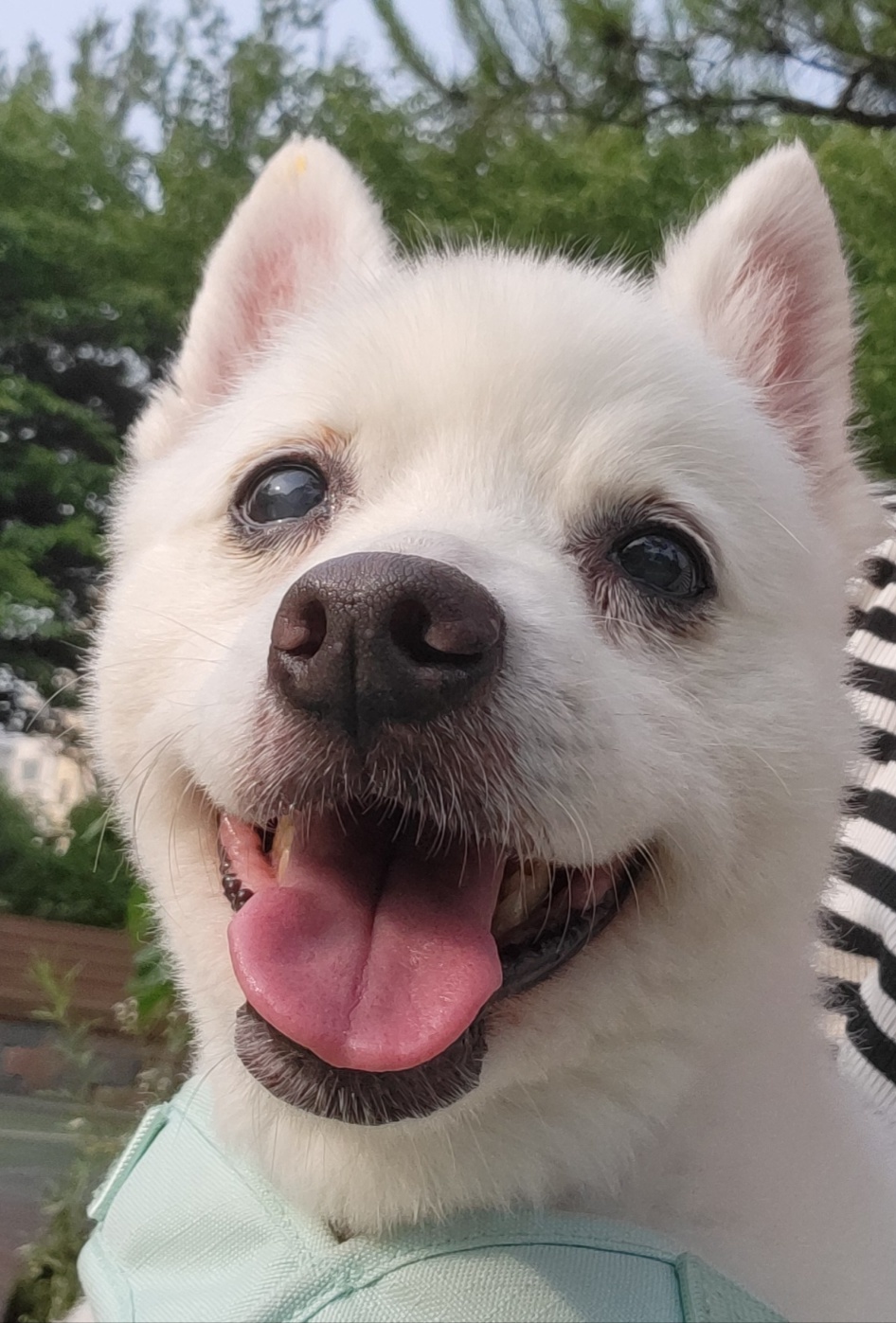 250821_부천_장군.jpg
